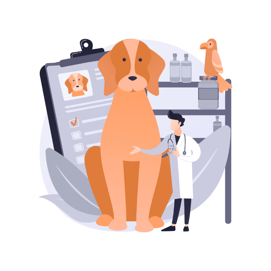 Login Image