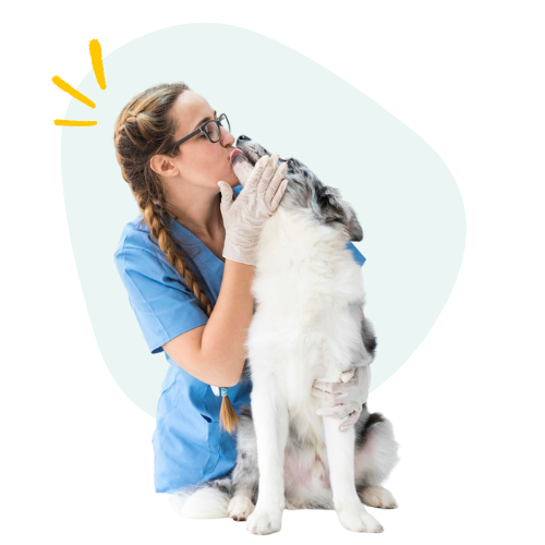 Veterinaria