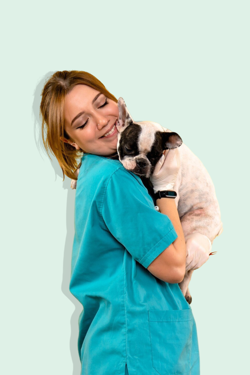 Veterinaria